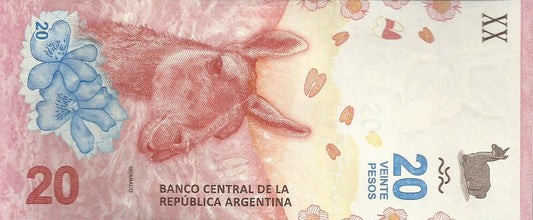 Argentina - 20 Pesos 2017 (# 361a)