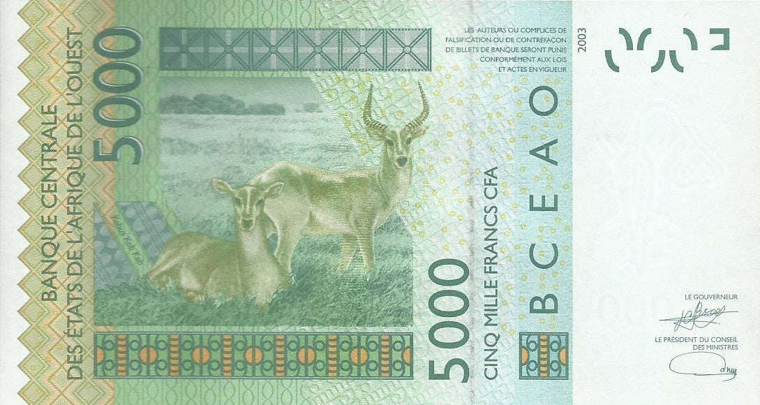 Guine Bissau - 5000 Francos 2023 (# 917s)