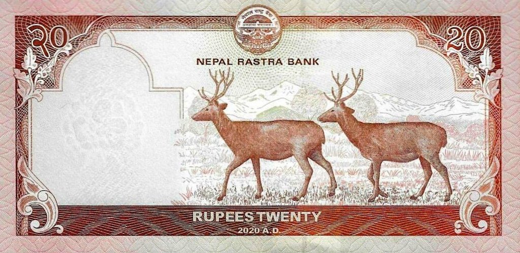 Nepal - 20 Rupias 2020 (# 77b)