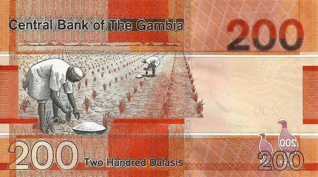 Gambia - 200 Dalasis 2019 (# 42)